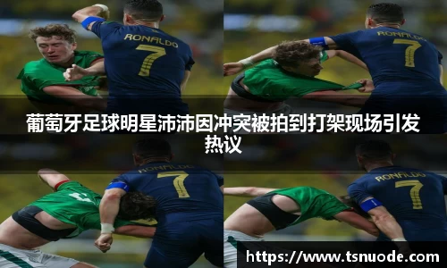 葡萄牙足球明星沛沛因冲突被拍到打架现场引发热议